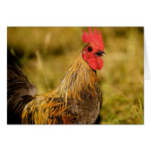 Bantam Rooster Greeting Card