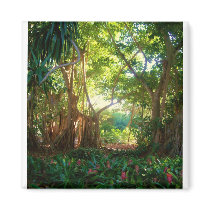 banyan garden refrigerator magnets