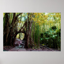 Banyan Portal Print