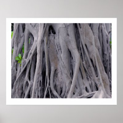 Banyan Tree Trunk by MaeFlowers