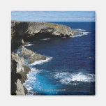 Banzai Cliff Magnets