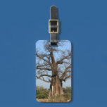 Baobab Tree Luggage Tag luggage tags