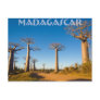 Baobabs de Madagascar Carte Postale