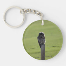 BAOW Barred Owl Acrylic Key Chains