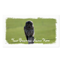 BAOW Barred Owl Business Card