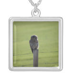 BAOW Barred Owl Pendants