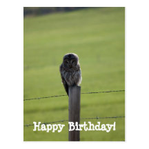 BAOW Barred Owl Post Card