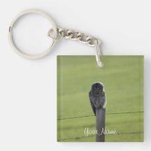 BAOW Barred Owl Square Acrylic Key Chains