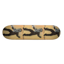 BAPOD SKATEBOARDS