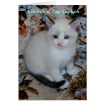 baptism greeting cards