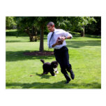 Barack & Bo Obama Post Cards
