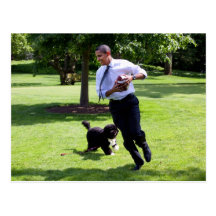 Barack et la BO Obama Carte Postale