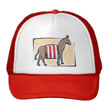Barack Obama Democrat Party Hat