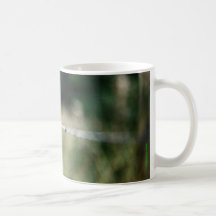 barb mug