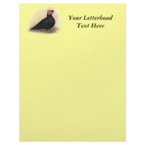 Barb:  Standard Black Letterhead Design