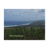 Barbados Island View Photo Postcard