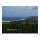 Barbados Island View Photo Postcard
