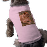 Barbary Lion-nap-025 Doggie Shirt