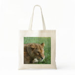 Barbary Lion-set-1-004, Barbary Lion Canvas Bags