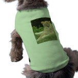 Barbary Lion-set-1-014 Pet Clothes