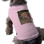 Barbary Lion-toy-005 pet clothing