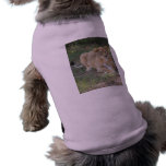 Barbary Lion-toy-007 Pet Clothes