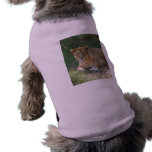 Barbary Lion-toy-017 Dog Clothes