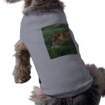Barbary Lion-toy-024 Pet Clothing