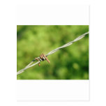 Barbed Wire, Barbed, Wire, Fencing Post Cards
