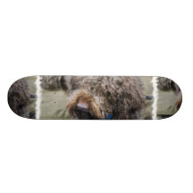 Barbet Skateboard