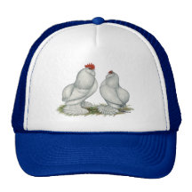Barbu d'Everberg Chickens Hats