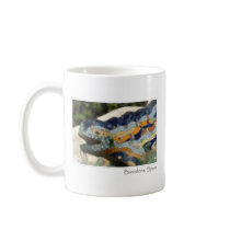 Barcelona Spain Park Guell Tourist Destination Coffee Mug