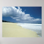 Bare Beach View posters