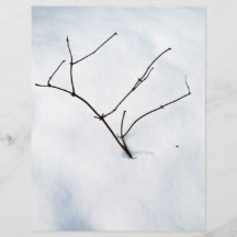 Bare branches sticking out of the snow full color flyer