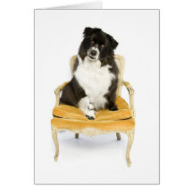 Bare on a Chair Card