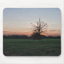Bare Tree at Sunrise Mousepad