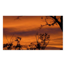 Bare Tree At Sunset Business Card Templates
