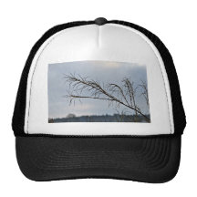 Bare tree branches against a cloudy sky trucker hat
