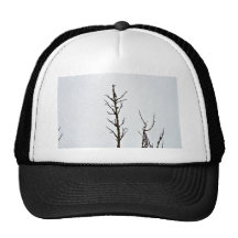 Bare tree branches against a cloudy sky mesh hat