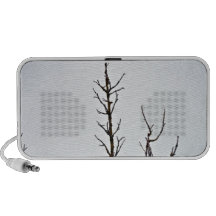 Bare tree branches against a cloudy sky travelling speaker