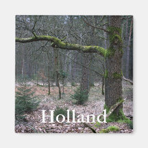 Bare tree in a forest refrigerator magnet