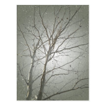 Bare Tree Postcard 2