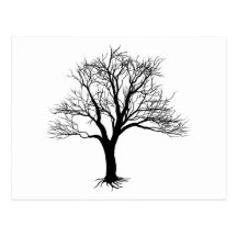 Bare tree silhouette post card