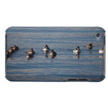 BARGOL Barrows Goldeneyes Case-Mate iPod Touch Case