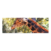 Baringo Giraffe Business Card