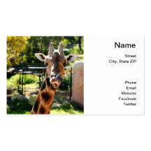 Baringo Giraffe Business Card Templates