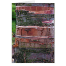 Bark! Cards
