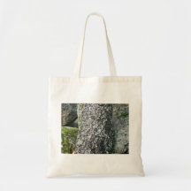 Bark tree texture with lichen bag