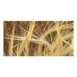 Barley Personalized Photo Card