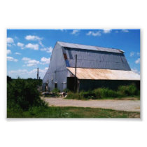Barn 777 Good Luck Photo